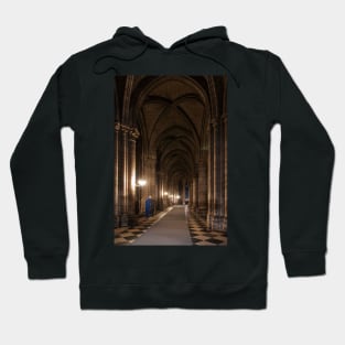 Notre Dame On The Inside - 3 © Hoodie